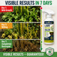 ⚡🥳2026 HOT SALE💞50K+ SOLD!💥LIMITED TIME 50% OFF! ⭐ [Easy and stress-free weeding in the garden] Herbicide for domestic use