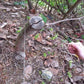 🔥BUY 1 GET 1 FREE🔥 Survival Gear Stainless Steel Wire Saw