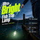Ultra-Bright Fish Trap Lamp