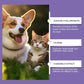Gentle Pet Eye Rinse for Dogs & Cats