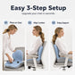 🪑 63% OFF NOW! ✨ Ergonomic memory foam seat cushion with back support – comfortable & supportive for home, office, and car 💺🛡️
