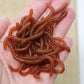 ⏰Limited-Time 50% Off ✨Bionic Earthworm Soft Lures｜Highly Realistic Dynamic Bait, Tear-Resistant Soft Lures For Freshwater & Sea Fishing 🎣